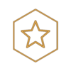trusted quality star metallic outline